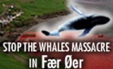 Stop the Whale Massacre
